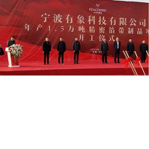 宁波有象开工仪式</a>